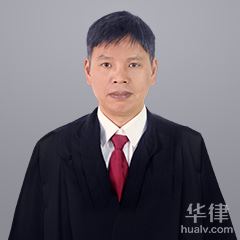 株洲律师-王军律师