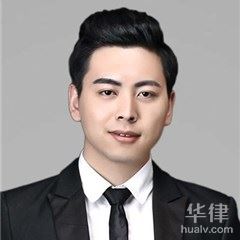 汤阴县债权债务律师-刘嘉律师