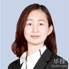 阜阳公安国安律师-李会民律师团队律师