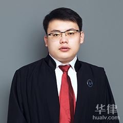 九龙坡区公司法律师-林鹏律师