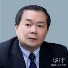 武汉刑事辩护律师-黎栋律师