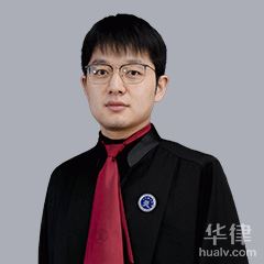 上海经济犯罪律师-陈胜律师