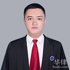 蒙山县人身损害在线律师-卢维律师