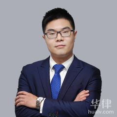 重庆公司法律师-陶鑫律师