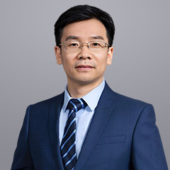 连云港税务律师-项国律师