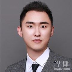 北京个人独资公司法律师-李晨	律师