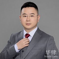 朝阳区债权债务律师-陈律资律师