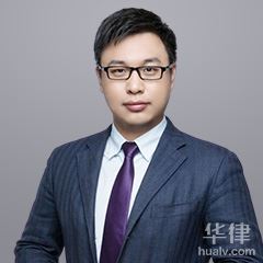 天津网络法律律师-蒋岭律师