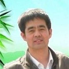 马卫律师