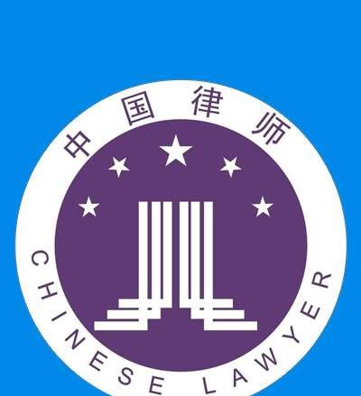 张新律师团队律师