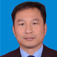 张圣莹律师