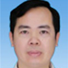 吴志强律师