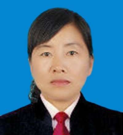 李环律师