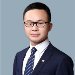 沈大力律师