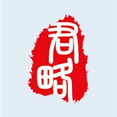 山西君略律师事务所律师