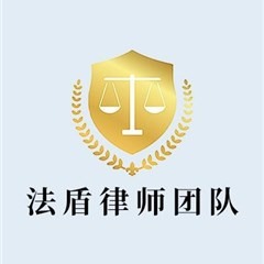 法盾法律团队