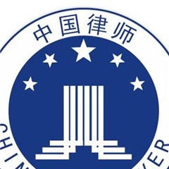北京专业律师团律师