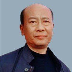 王立众律师团队律师