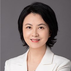 董红曼律师团队