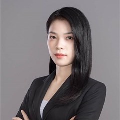 杨琴律师