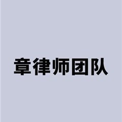 章律师团队律师