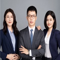 争议解决律师团队律师