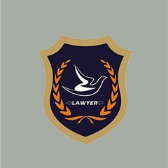 河南刑事辩护团队律师
