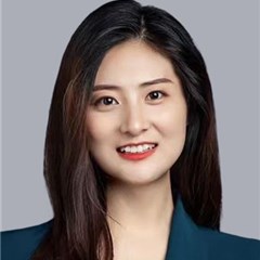 刘苗律师