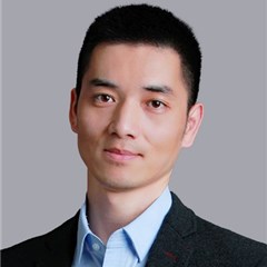 郑洪律师团队律师