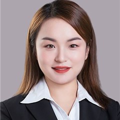 执行与不良资产处置团队律师