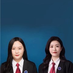 解璐琪团队律师律师