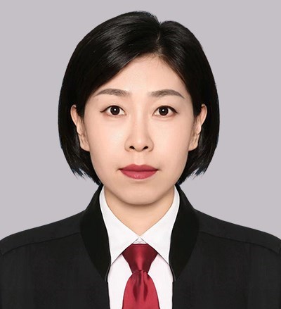 岳嵩律师