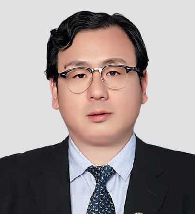 法能律师团队律所律师