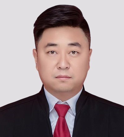 齐小龙