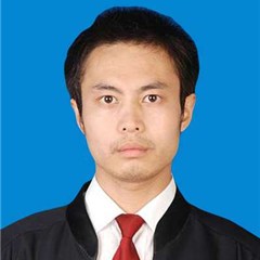荆州区交通事故在线律师-王道发律师