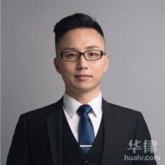 香港岛知识产权律师-陈楚律师