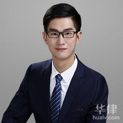 袁州区公司法律师-罗斌律师