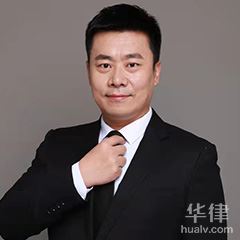 青龙满族自治县律师-武振华律师
