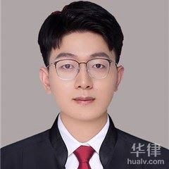 淮南侵权律师-艾飞律师